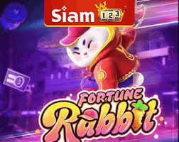 horários para jogar fortune rabbit ícone